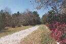 Real Estate Picayune MS Homes Land Acreage